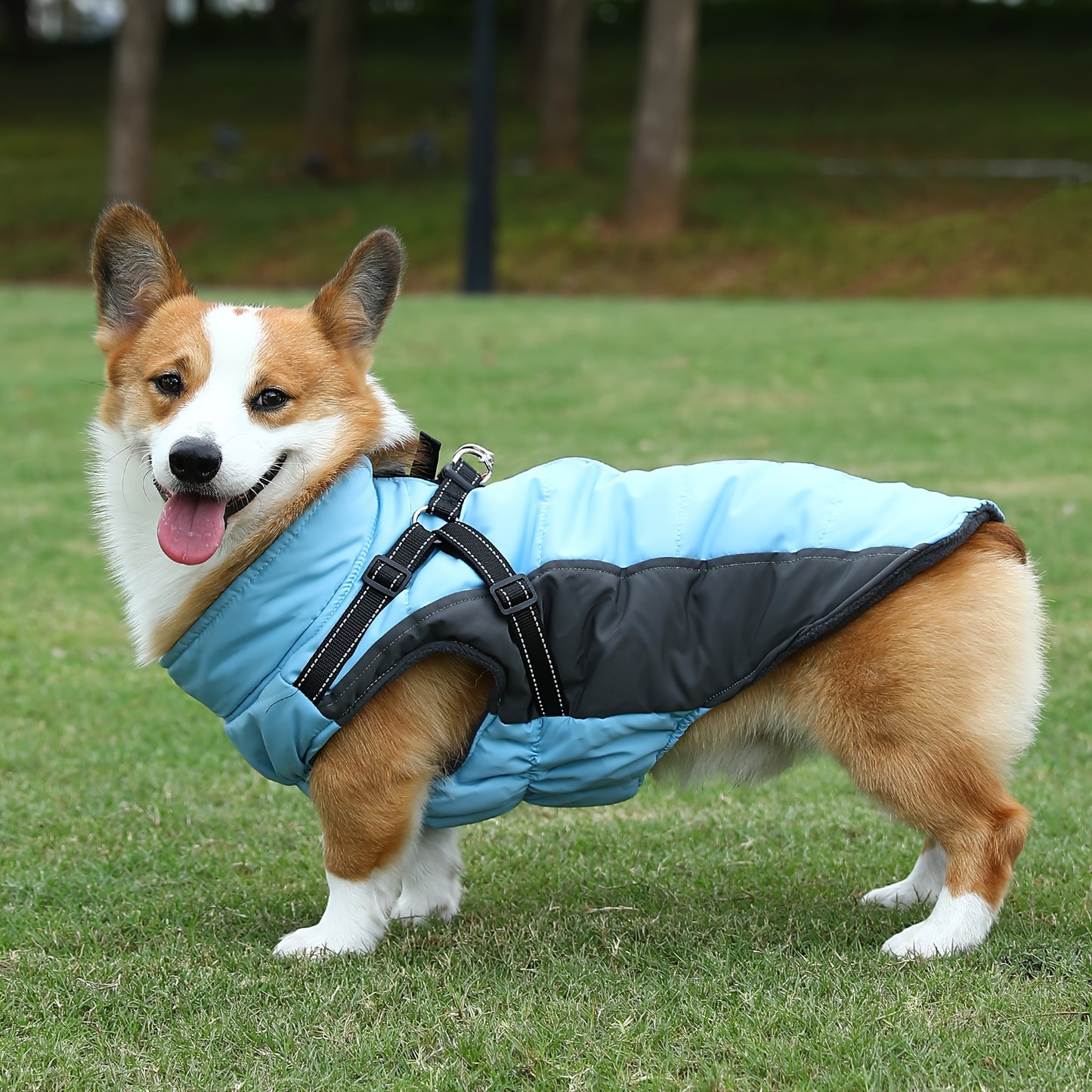 Reflective Waterproof Dog Jacket with Built-In Harness – Fleece-Lined, Warm, and Machine-Washable