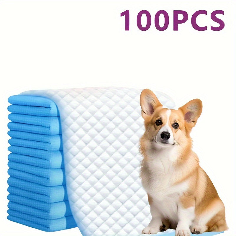 100-Pack Super Absorbent Dog Training Pads – Leakproof, Odor-Control, Disposable for Puppy Training