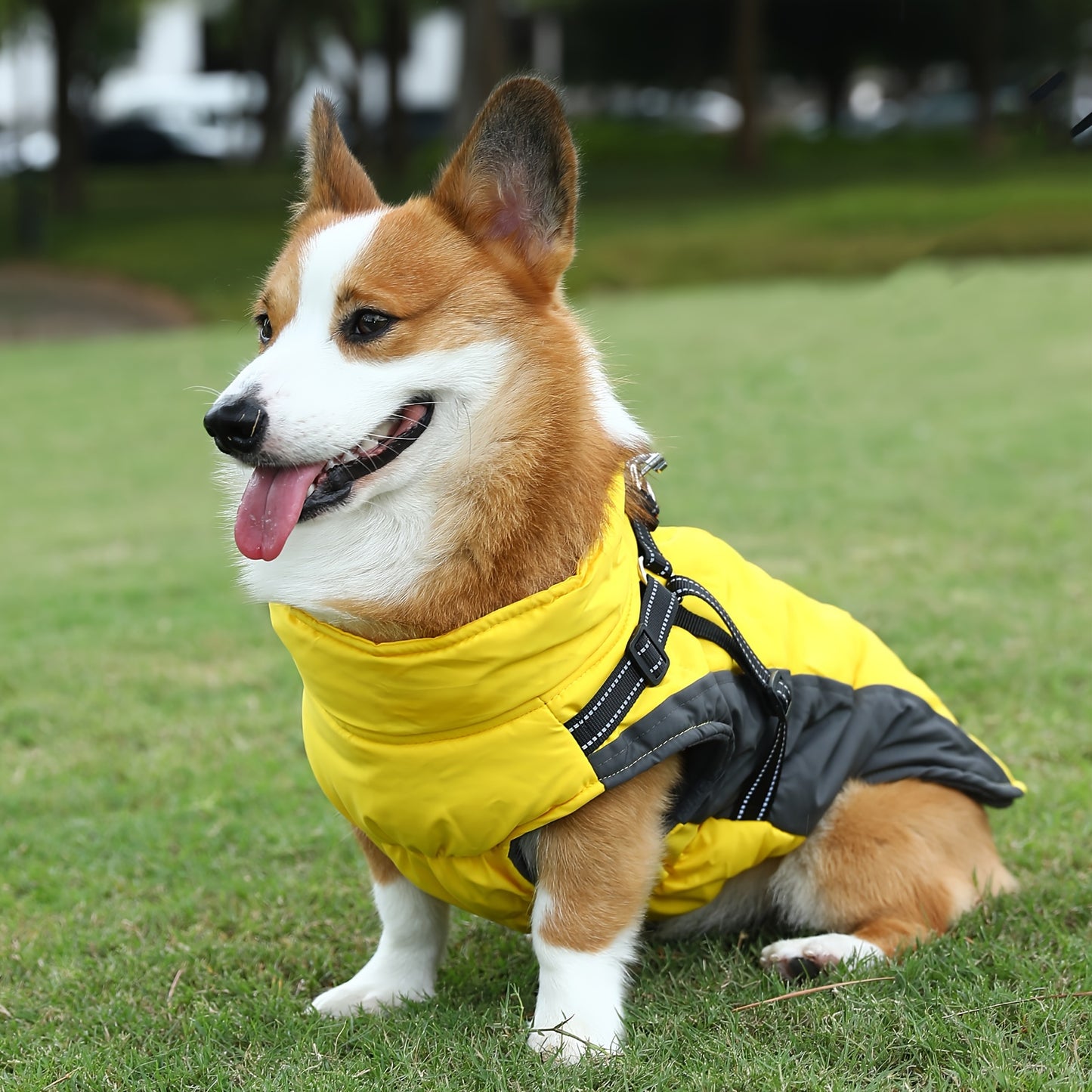 Reflective Waterproof Dog Jacket with Built-In Harness – Fleece-Lined, Warm, and Machine-Washable