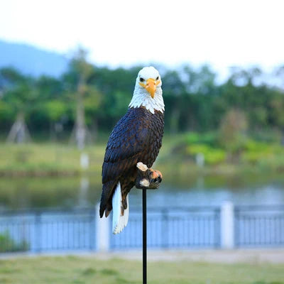 Outdoor simulation eagle ornament living room dining room office study courtyard decoration animal model