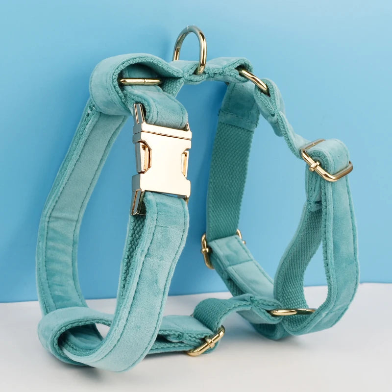 Custom Turquoise Velvet Dog Collar and Leash Set with Engraved Nameplate – Personalized Pet Supplies for Dogs