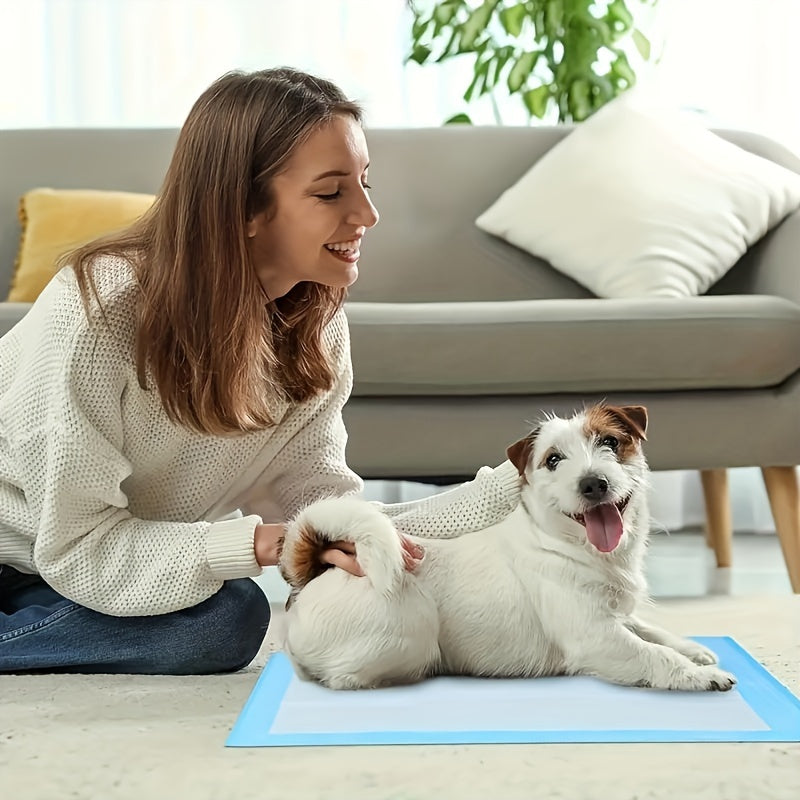 100-Pack Super Absorbent Dog Training Pads – Leakproof, Odor-Control, Disposable for Puppy Training